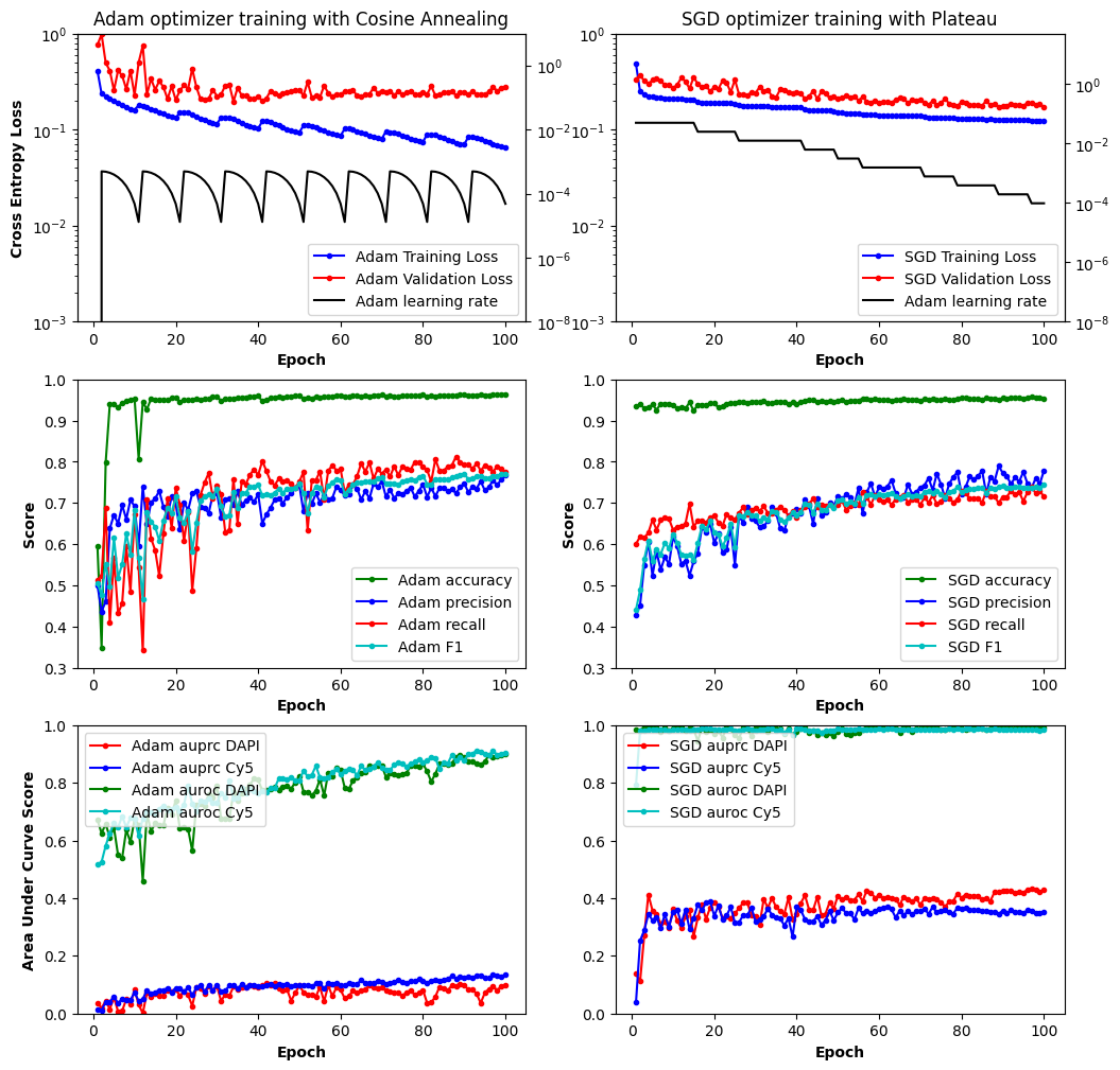 Comparison of Adam and Stochastic Gradient Descent.  While Adam with Cosine Annealing had better training loss scores, the validation and precision-recal area under the curve scores were not better than Stocastic Gradient Descent with Reduced Learning Rate on Plataeu.